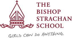 BSS Logo